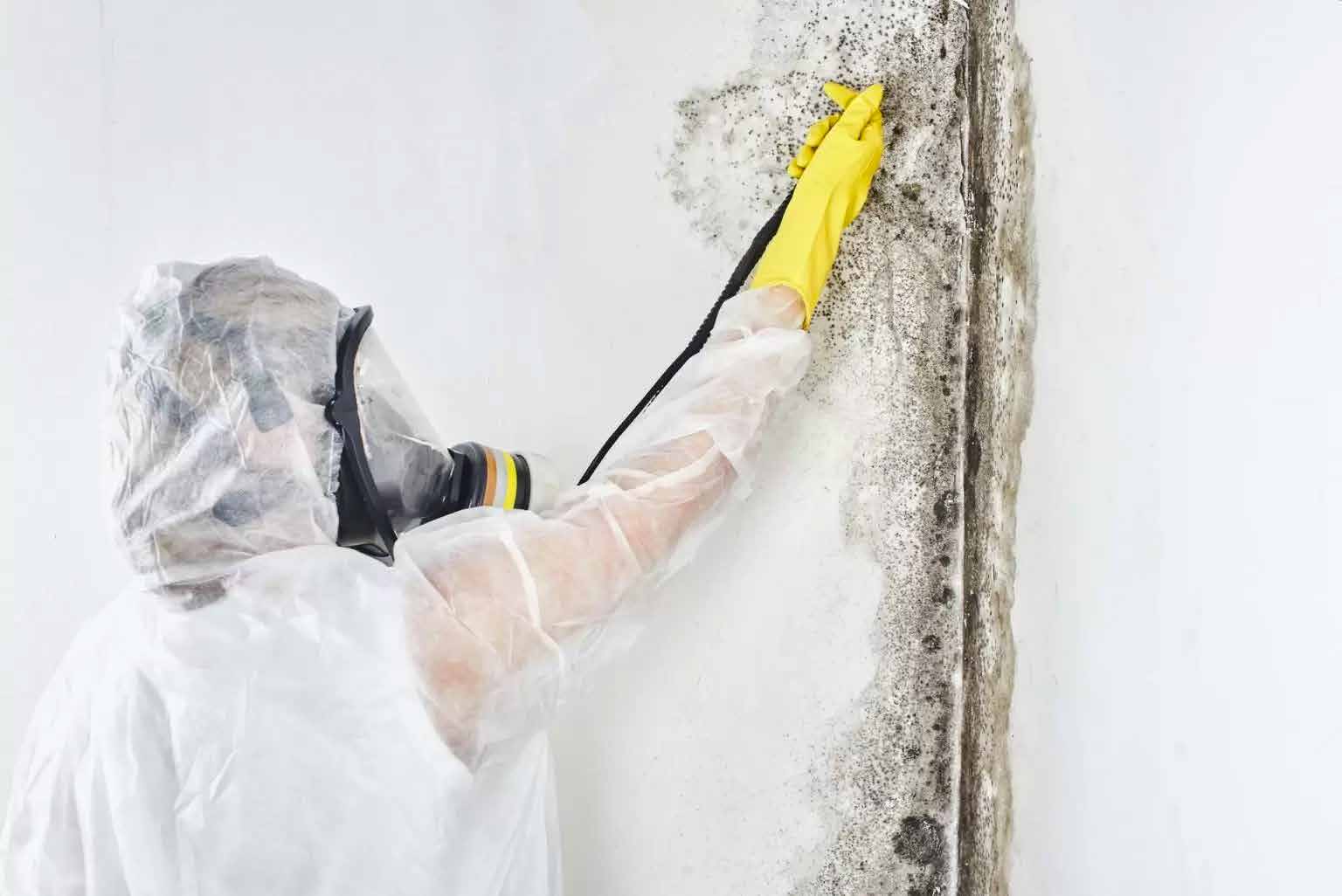 Mold Repair